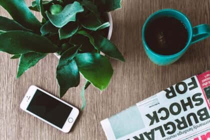 El futuro del periodismo impreso en la era digital dominicana